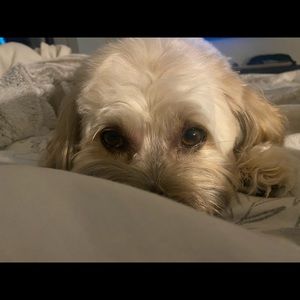 Meet your Posher, Mabell